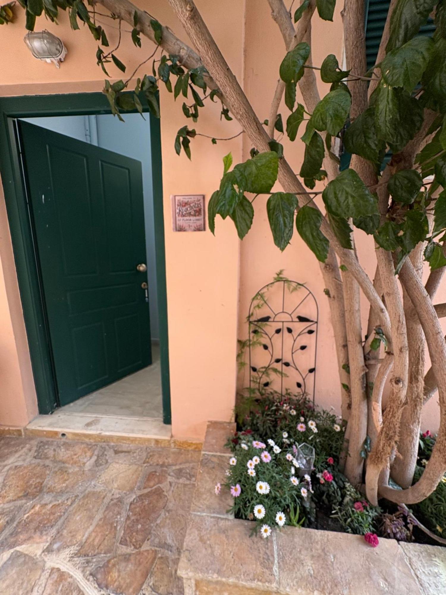 Rouchotas Studios By Viktor 1Rst Floor Argostoli  Exterior foto